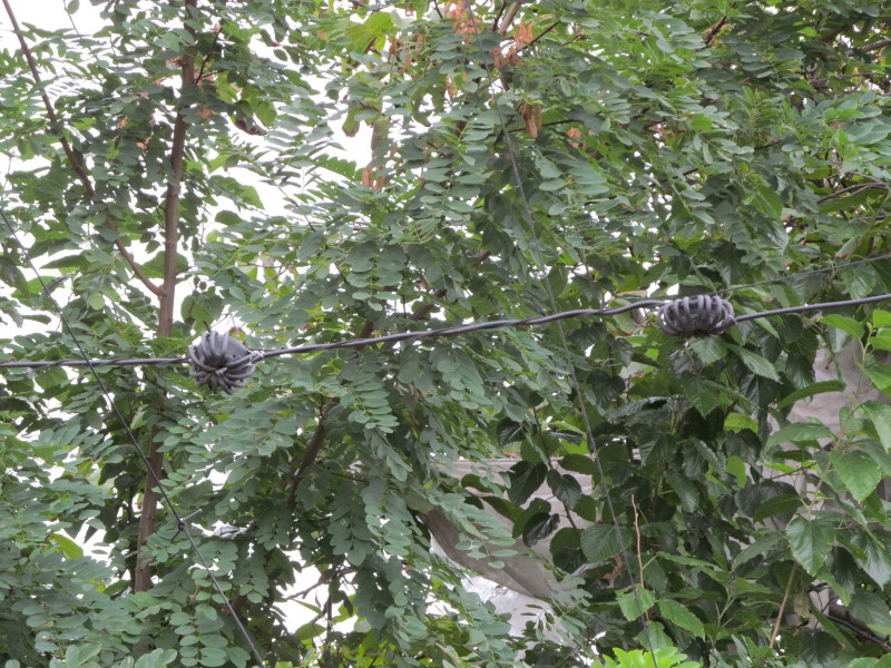 IMG_0214.JPG (533.44 Кіб) Переглянуто 44254 разів IMG_0214.JPG