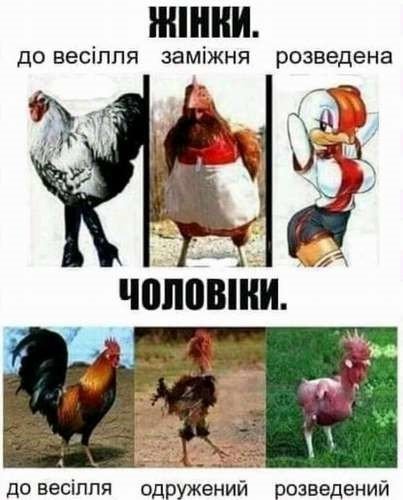 Жінки.jpg